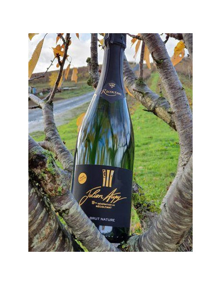 Aupy - Dry Sparkling (Brut) - Nature