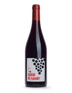 Grain de Gamay - Sylvain Rozier - Rouge - 2023
