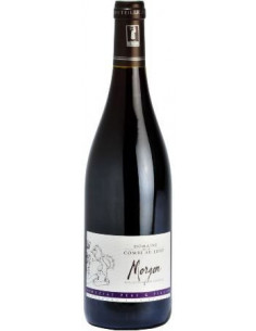 Morgon - Domaine de la Combe au Loup - Red - 2022/2023