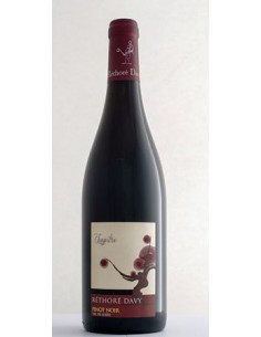 Val de Loire - Réthoré Davy - Parcelles - Pinot Noir -... 2