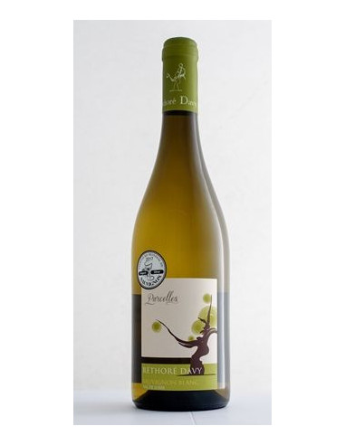 Val de Loire - Réthoré Davy - Parcelles -...