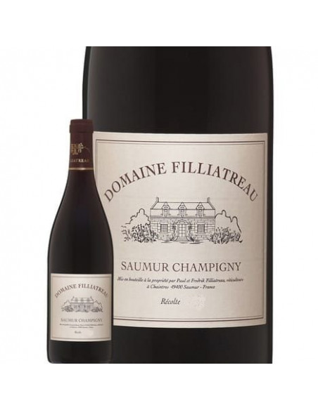 Saumur Champigny - Domaine  Filliatreau - Rouge - 2020 - Caisse 6x75cl