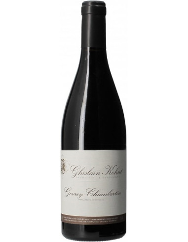 Gevrey Chambertin - Ghislain Kohut - Rouge - 2021