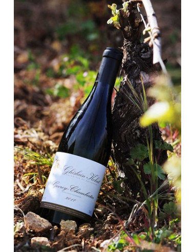 Gevrey Chambertin - Ghislain Kohut - Rouge - 2022