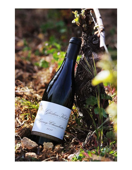 Gevrey Chambertin - Ghislain Kohut - Rouge - 2022