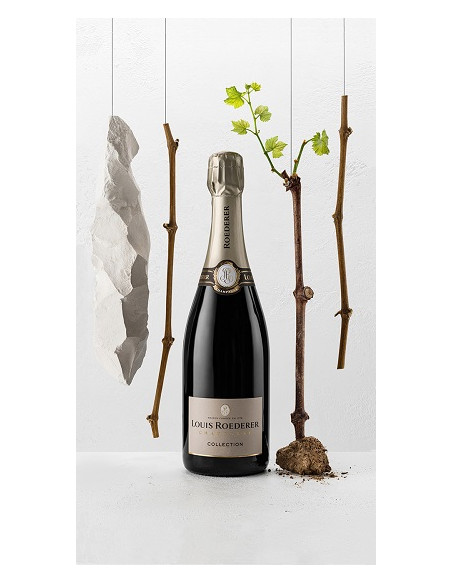 Champagne - Roederer - Collection - Brut
