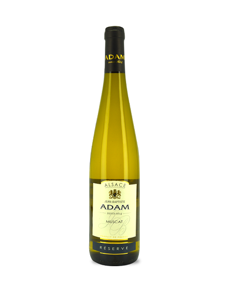 Alsace Muscat - Réserve - JB Adam - Blanc - 2022
