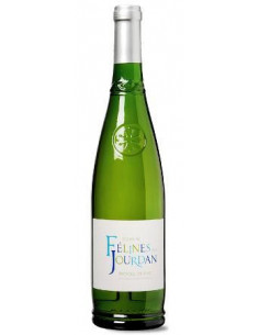 Picpoul de Pinet - Domaine Félines Jourdan - White - 2024