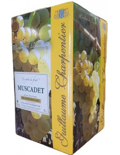 Box 10L - Muscadet - Guillaume Charpentier - White