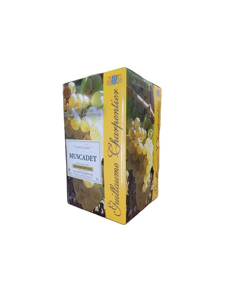 BIB 10L - Muscadet - Guillaume Charpentier - Blanc