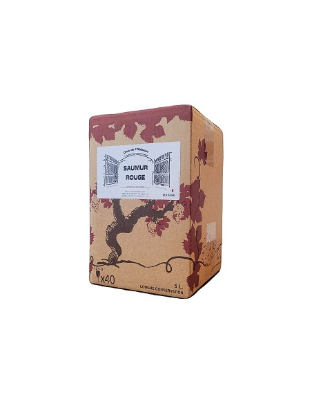 BIB 5L - Saumur - Aupy - Clos de l'Abbaye - Rouge