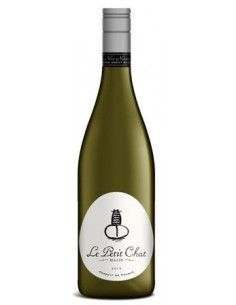 Le Petit Chat Malin - Blanc - 2024