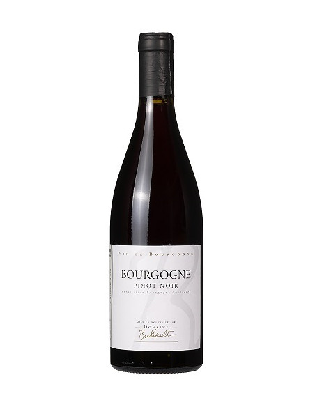 Bourgogne Pinot Noir - Domaine Berthault - Red - 2023