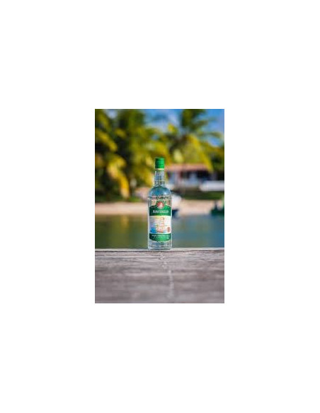 Montebello - Rhum blanc - 40° - 1 L