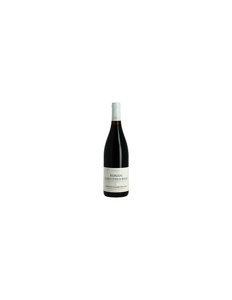 Bourgogne Hautes Côtes de Beaune - Claude Nouveau - Vieilles vignes - Red - 2022/2023