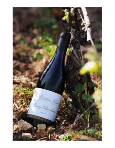 Fixin - Ghislain Kohut - Rouge - 2022