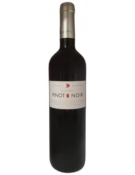 Château de Tigné - Pinot Noir - Red - 2023
