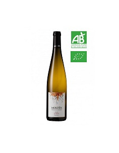 BIO - Alsace Sylvaner - Domaine Moltès - Blanc - 2022