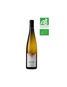 ORGANIC - Alsace Pinot blanc - Domaine Moltès - White - 2022