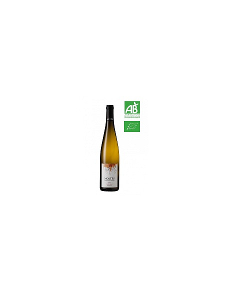 BIO - Alsace Pinot blanc - Domaine Moltès - Blanc - 2022