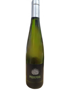 Pays de l'Hérault - Domaine du Péras - Piquepoul - Blanc...