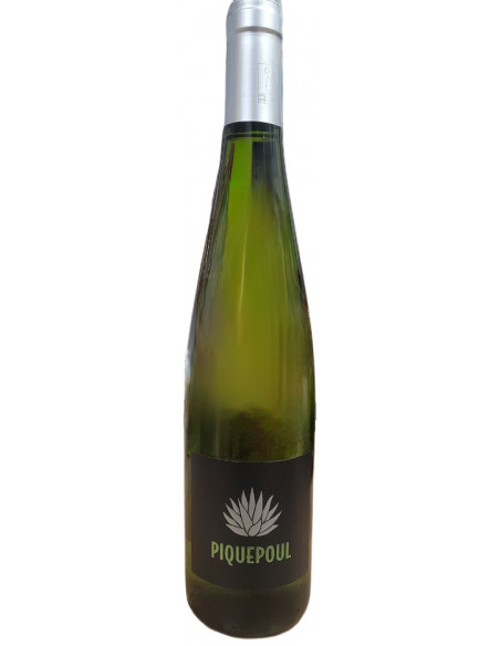 Pays de l'Hérault - Domaine du Péras - Piquepoul - White - 2024