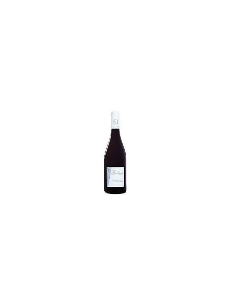 BIO - Fiefs Vendéens Chantonnay - Domaine de la Barbinère - Les silex - Rouge - 2023