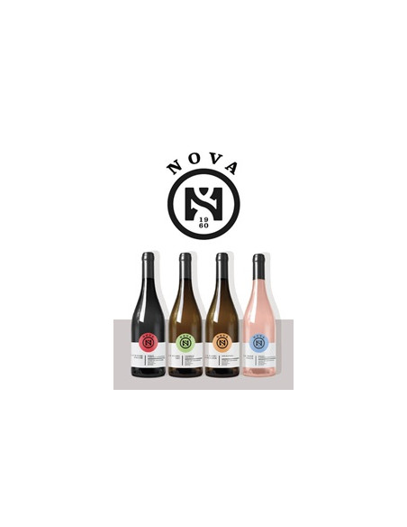 Côtes de Gascogne - Nova - Colombard Sauvignon - Dry white - 2024