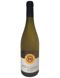 Côtes de Gascogne - Nova - Gros manseng - Sweet white - 2023