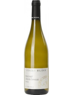 ORGANIC - Muscadet Côtes de Grandlieu - Le Demi Boeuf -...