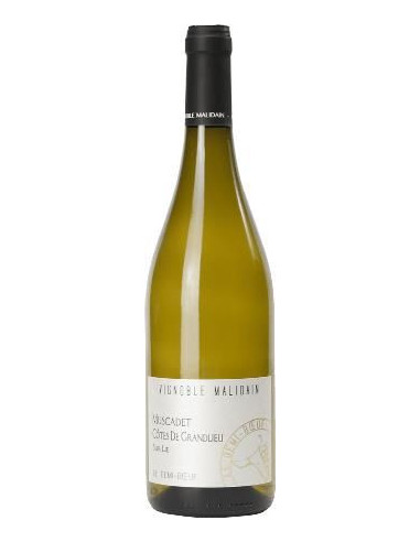 Muscadet - Le Demi Boeuf - Malidain - Blanc - 2022