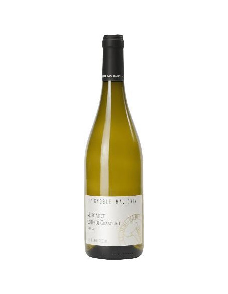 Muscadet - Le Demi Boeuf - Malidain - White - 2023