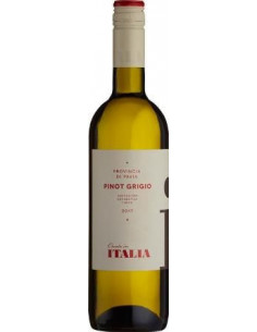 Italia - Pinot Grigio - Blanc - 2024